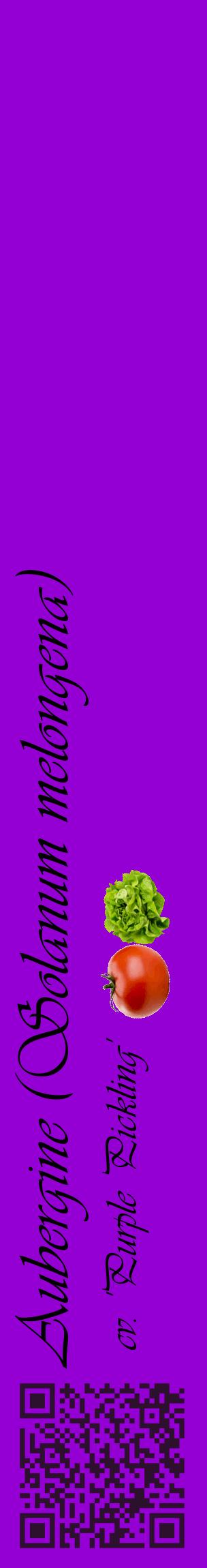 Étiquette de : Solanum melongena cv. 'Purple Pickling' - format c - style noire48_basiqueviv avec qrcode et comestibilité simplifiée