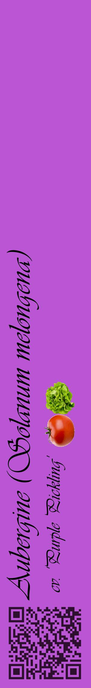 Étiquette de : Solanum melongena cv. 'Purple Pickling' - format c - style noire50_basiqueviv avec qrcode et comestibilité simplifiée