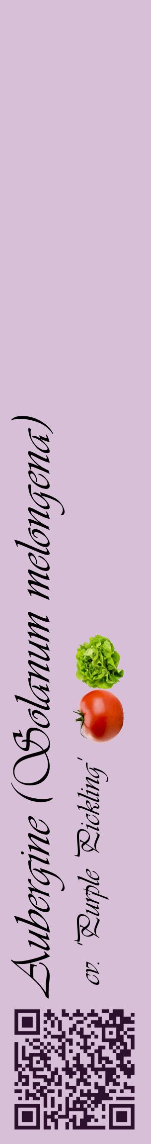 Étiquette de : Solanum melongena cv. 'Purple Pickling' - format c - style noire54_basiqueviv avec qrcode et comestibilité simplifiée