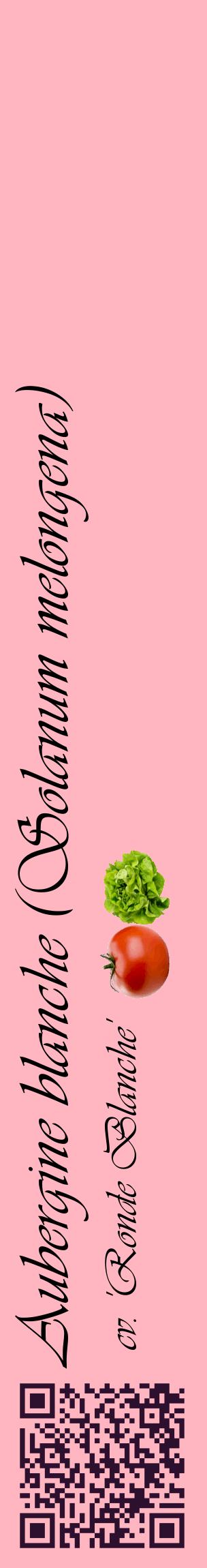 Étiquette de : Solanum melongena cv. 'Ronde Blanche' - format c - style noire41_basiqueviv avec qrcode et comestibilité simplifiée