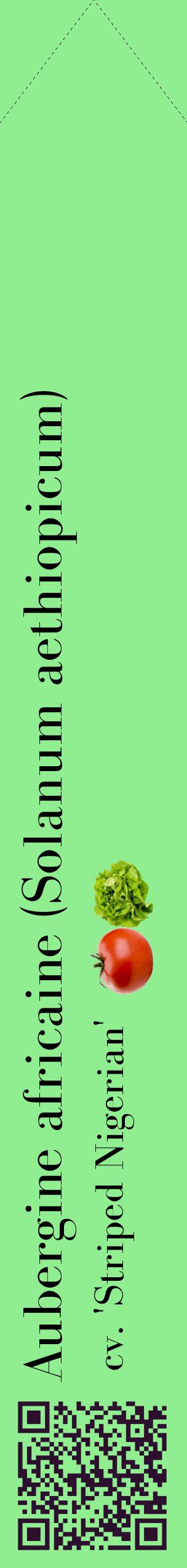 Étiquette de : Solanum aethiopicum cv. 'Striped Nigerian' - format c - style noire15_simplebod avec qrcode et comestibilité simplifiée