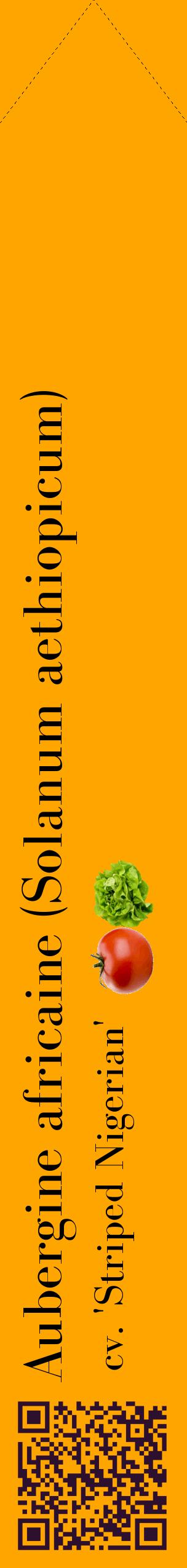Étiquette de : Solanum aethiopicum cv. 'Striped Nigerian' - format c - style noire22_simplebod avec qrcode et comestibilité simplifiée