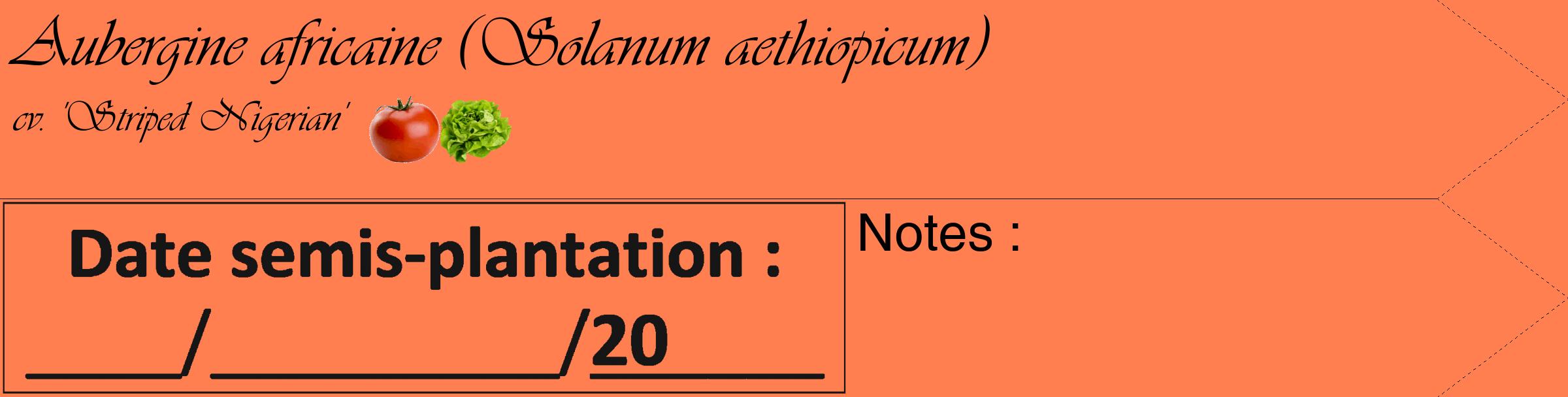 Étiquette de : Solanum aethiopicum cv. 'Striped Nigerian' - format c - style noire24_simple_simpleviv avec comestibilité simplifiée