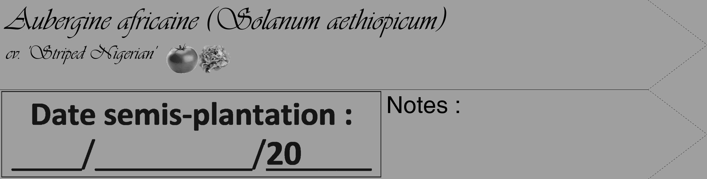Étiquette de : Solanum aethiopicum cv. 'Striped Nigerian' - format c - style noire24_simple_simpleviv avec comestibilité simplifiée