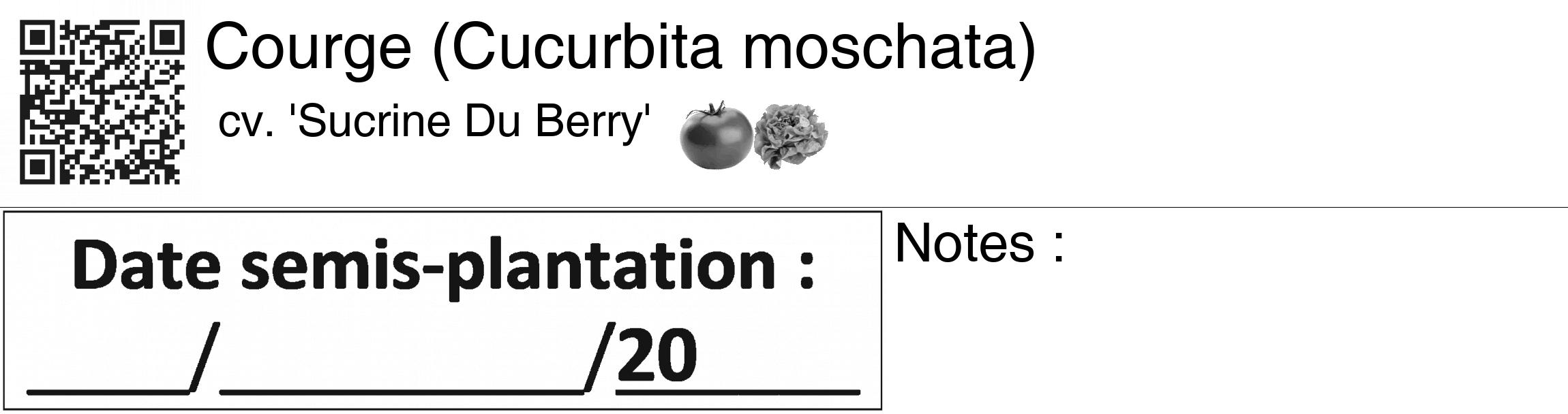 Étiquette de : Cucurbita moschata cv. 'Sucrine Du Berry' - format c - style noire60_basiquegrrvhel avec qrcode et comestibilité simplifiée