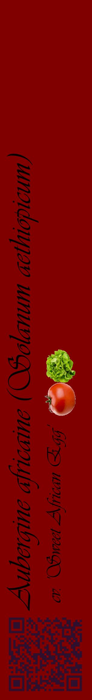 Étiquette de : Solanum aethiopicum cv. 'Sweet African Egg' - format c - style noire29_basiqueviv avec qrcode et comestibilité simplifiée