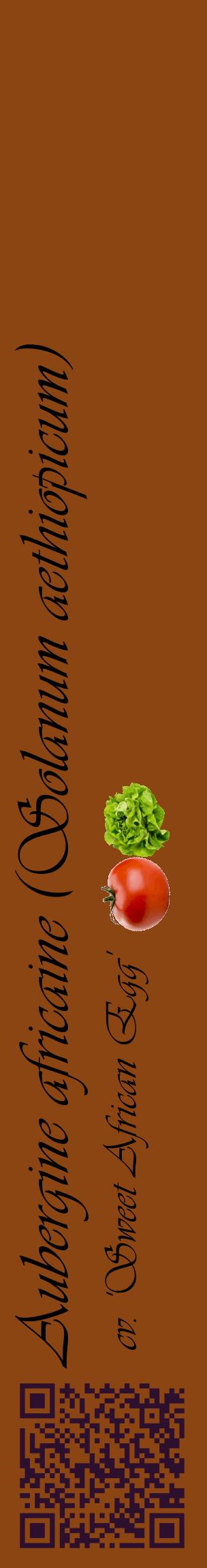 Étiquette de : Solanum aethiopicum cv. 'Sweet African Egg' - format c - style noire30_basiqueviv avec qrcode et comestibilité simplifiée