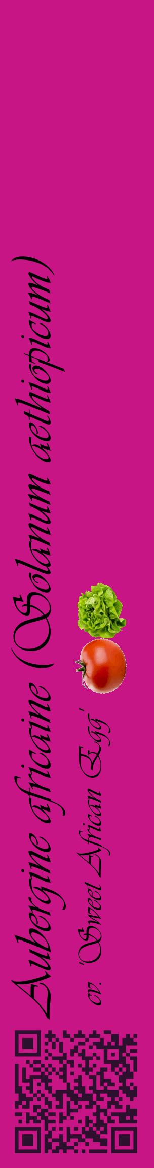 Étiquette de : Solanum aethiopicum cv. 'Sweet African Egg' - format c - style noire45_basiqueviv avec qrcode et comestibilité simplifiée