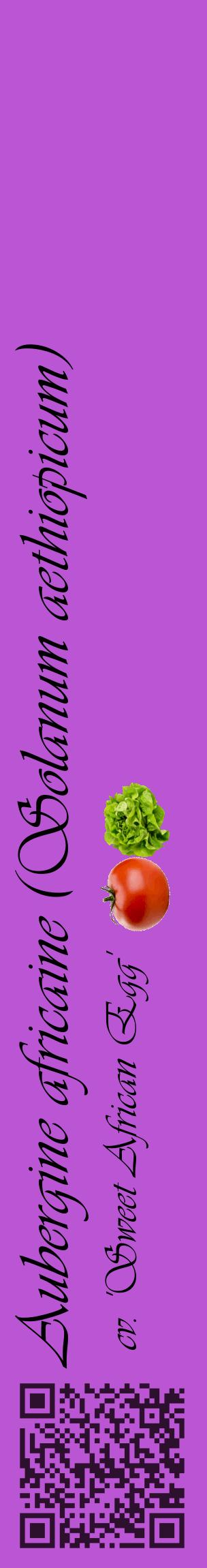 Étiquette de : Solanum aethiopicum cv. 'Sweet African Egg' - format c - style noire50_basiqueviv avec qrcode et comestibilité simplifiée