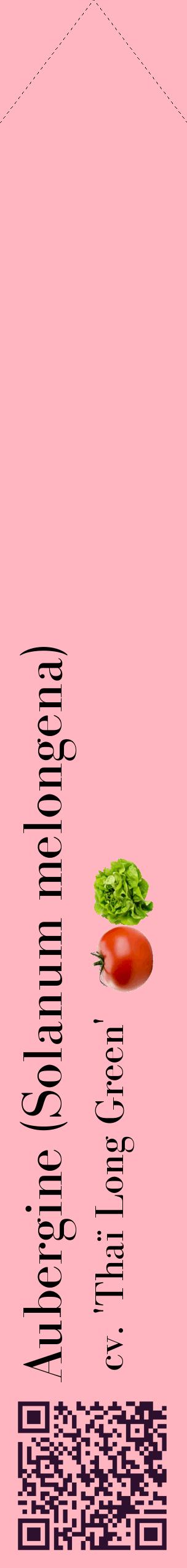 Étiquette de : Solanum melongena cv. 'Thaï Long Green' - format c - style noire41_simplebod avec qrcode et comestibilité simplifiée