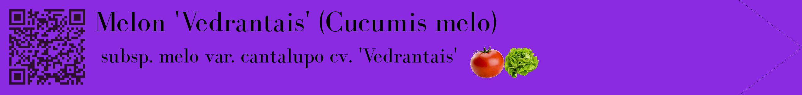 Étiquette de : Cucumis melo subsp. melo var. cantalupo cv. 'Vedrantais' - format c - style noire49simple_simple_simplebod avec qrcode et comestibilité simplifiée
