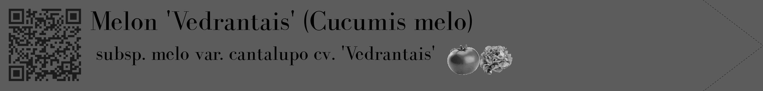 Étiquette de : Cucumis melo subsp. melo var. cantalupo cv. 'Vedrantais' - format c - style noire49simple_simple_simplebod avec qrcode et comestibilité simplifiée