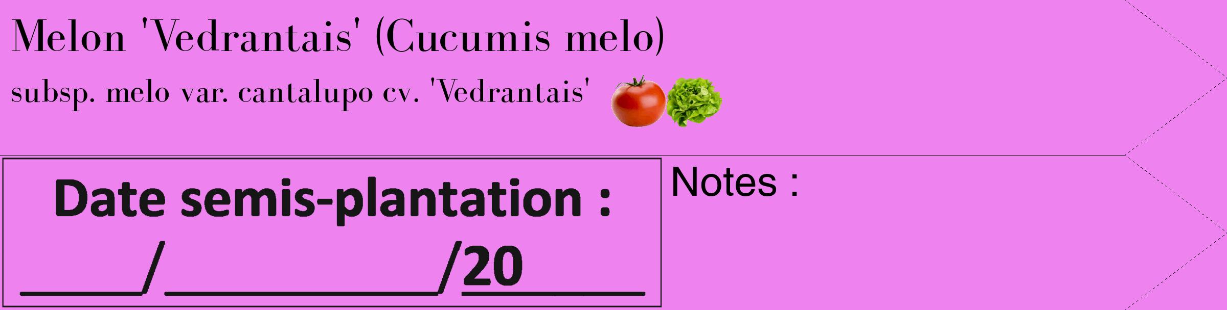 Étiquette de : Cucumis melo subsp. melo var. cantalupo cv. 'Vedrantais' - format c - style noire53_simple_simplebod avec comestibilité simplifiée