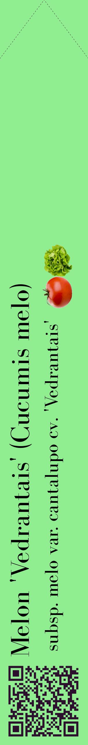 Étiquette de : Cucumis melo subsp. melo var. cantalupo cv. 'Vedrantais' - format c - style noire15_simplebod avec qrcode et comestibilité simplifiée