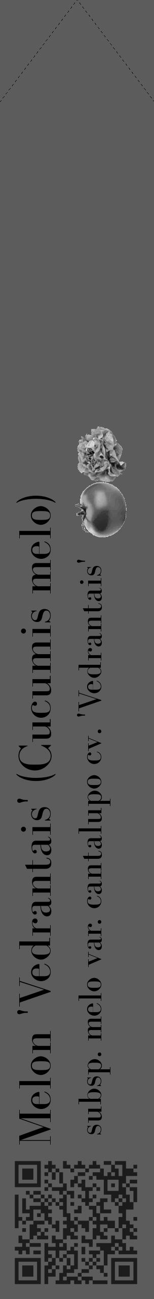 Étiquette de : Cucumis melo subsp. melo var. cantalupo cv. 'Vedrantais' - format c - style noire49simple_simple_simplebod avec qrcode et comestibilité simplifiée - position verticale