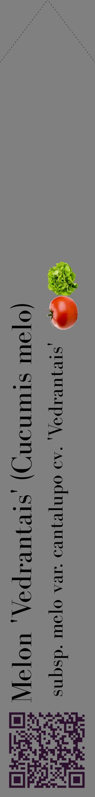 Étiquette de : Cucumis melo subsp. melo var. cantalupo cv. 'Vedrantais' - format c - style noire57_simplebod avec qrcode et comestibilité simplifiée