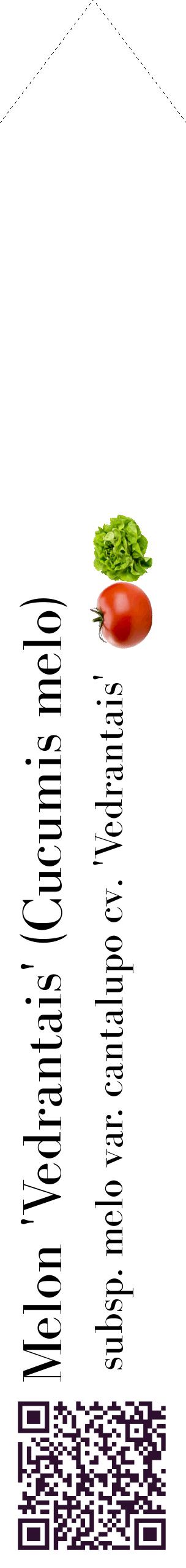 Étiquette de : Cucumis melo subsp. melo var. cantalupo cv. 'Vedrantais' - format c - style noire60_simplebod avec qrcode et comestibilité simplifiée