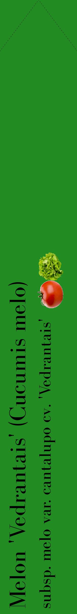 Étiquette de : Cucumis melo subsp. melo var. cantalupo cv. 'Vedrantais' - format c - style noire10_simplebod avec comestibilité simplifiée