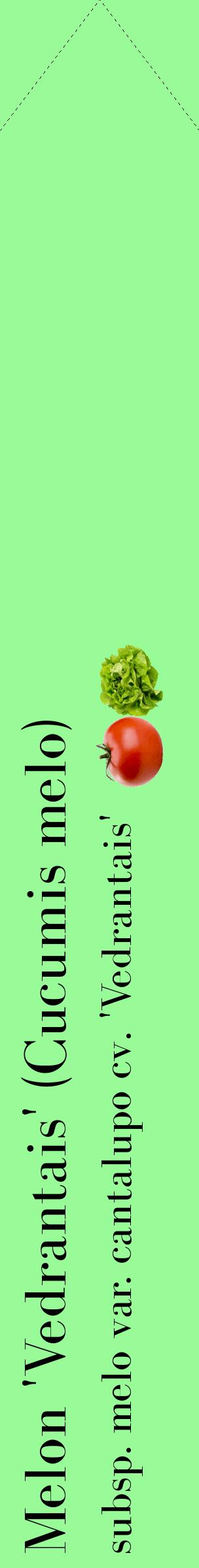 Étiquette de : Cucumis melo subsp. melo var. cantalupo cv. 'Vedrantais' - format c - style noire14_simplebod avec comestibilité simplifiée