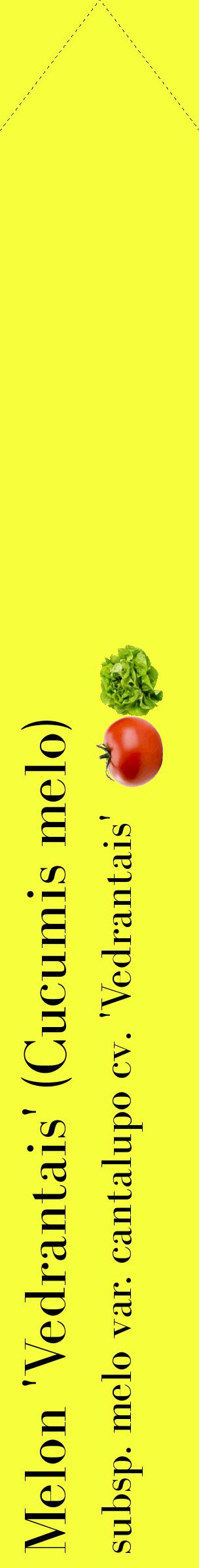 Étiquette de : Cucumis melo subsp. melo var. cantalupo cv. 'Vedrantais' - format c - style noire18_simplebod avec comestibilité simplifiée