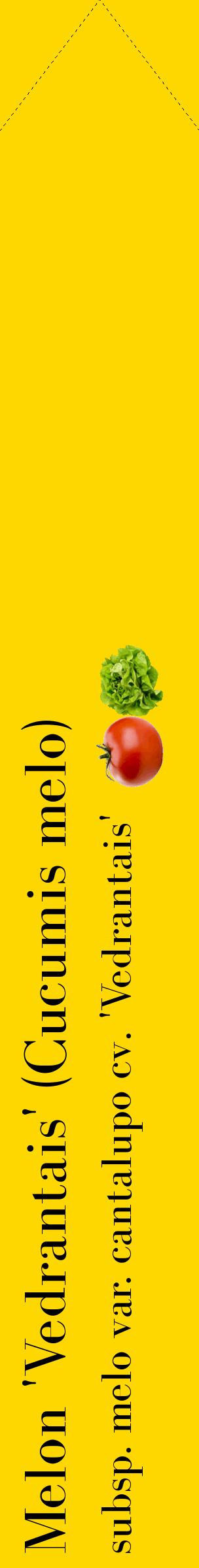 Étiquette de : Cucumis melo subsp. melo var. cantalupo cv. 'Vedrantais' - format c - style noire21_simplebod avec comestibilité simplifiée