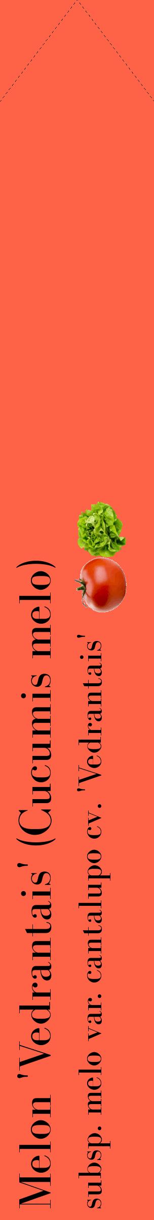 Étiquette de : Cucumis melo subsp. melo var. cantalupo cv. 'Vedrantais' - format c - style noire25_simplebod avec comestibilité simplifiée