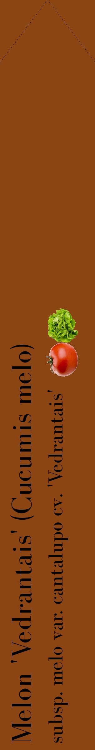Étiquette de : Cucumis melo subsp. melo var. cantalupo cv. 'Vedrantais' - format c - style noire30_simplebod avec comestibilité simplifiée