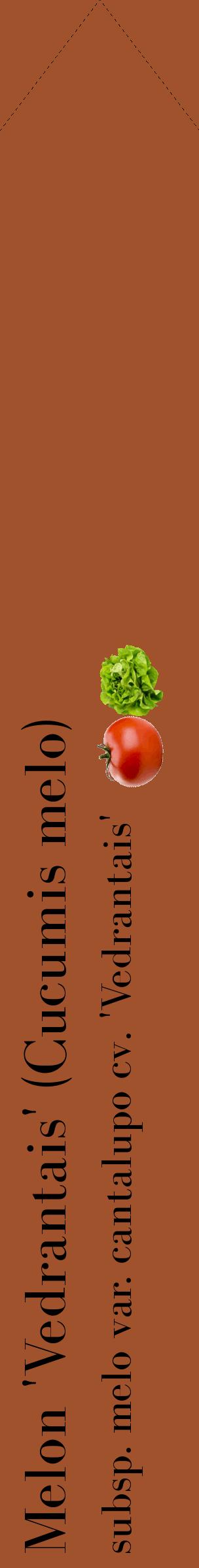 Étiquette de : Cucumis melo subsp. melo var. cantalupo cv. 'Vedrantais' - format c - style noire32_simplebod avec comestibilité simplifiée