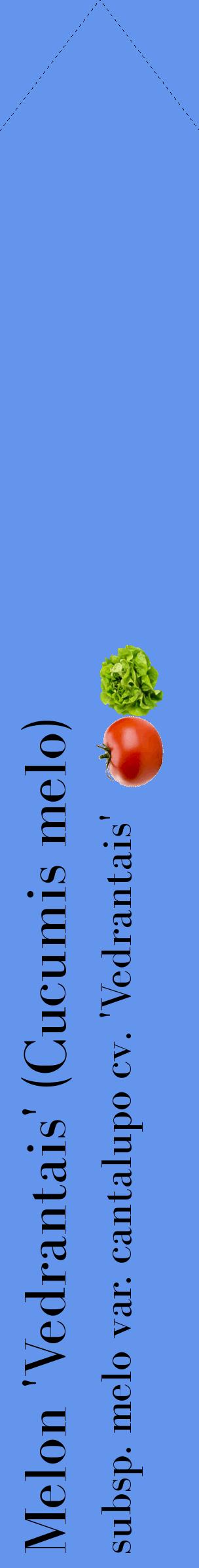 Étiquette de : Cucumis melo subsp. melo var. cantalupo cv. 'Vedrantais' - format c - style noire4_simplebod avec comestibilité simplifiée