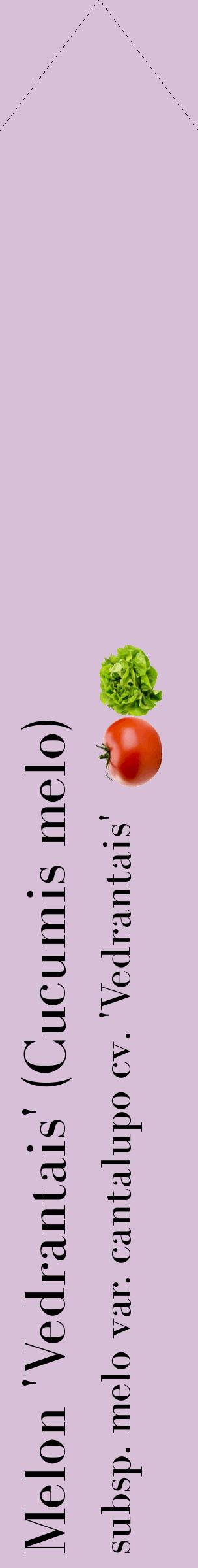 Étiquette de : Cucumis melo subsp. melo var. cantalupo cv. 'Vedrantais' - format c - style noire54_simplebod avec comestibilité simplifiée