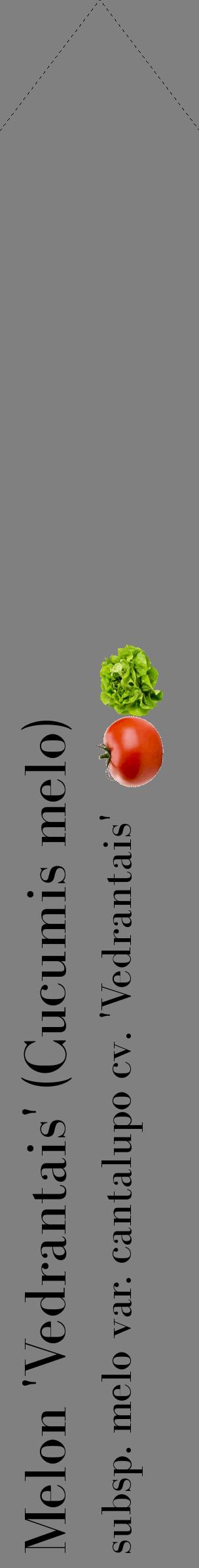 Étiquette de : Cucumis melo subsp. melo var. cantalupo cv. 'Vedrantais' - format c - style noire57_simplebod avec comestibilité simplifiée