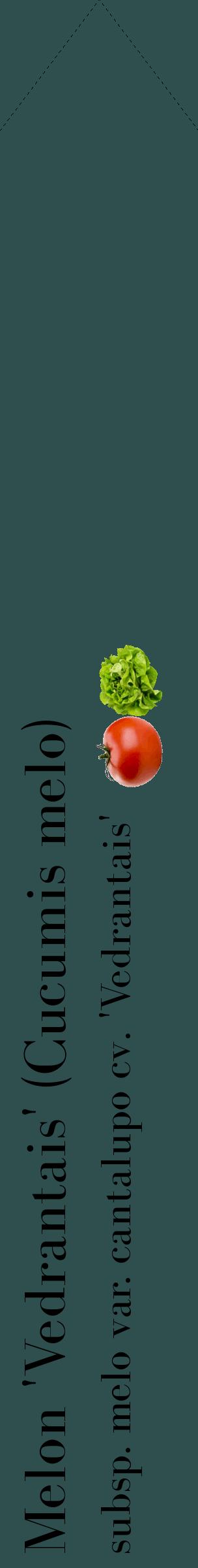 Étiquette de : Cucumis melo subsp. melo var. cantalupo cv. 'Vedrantais' - format c - style noire58_simplebod avec comestibilité simplifiée