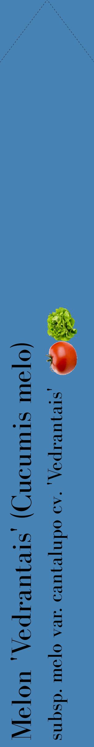 Étiquette de : Cucumis melo subsp. melo var. cantalupo cv. 'Vedrantais' - format c - style noire5_simplebod avec comestibilité simplifiée