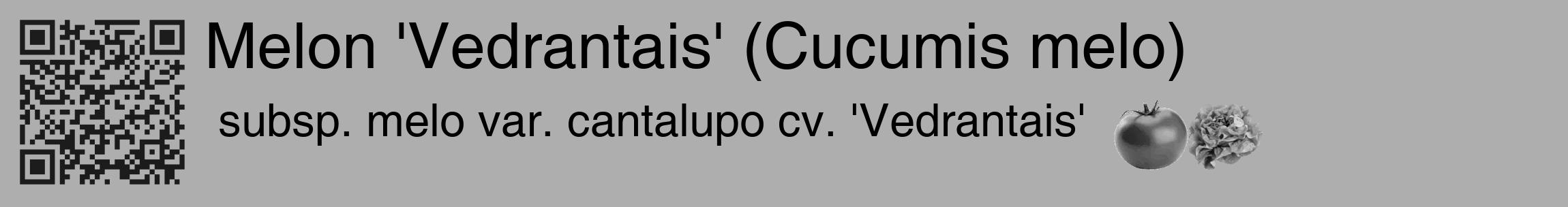 Étiquette de : Cucumis melo subsp. melo var. cantalupo cv. 'Vedrantais' - format c - style noire53_basique_basiquehel avec qrcode et comestibilité simplifiée