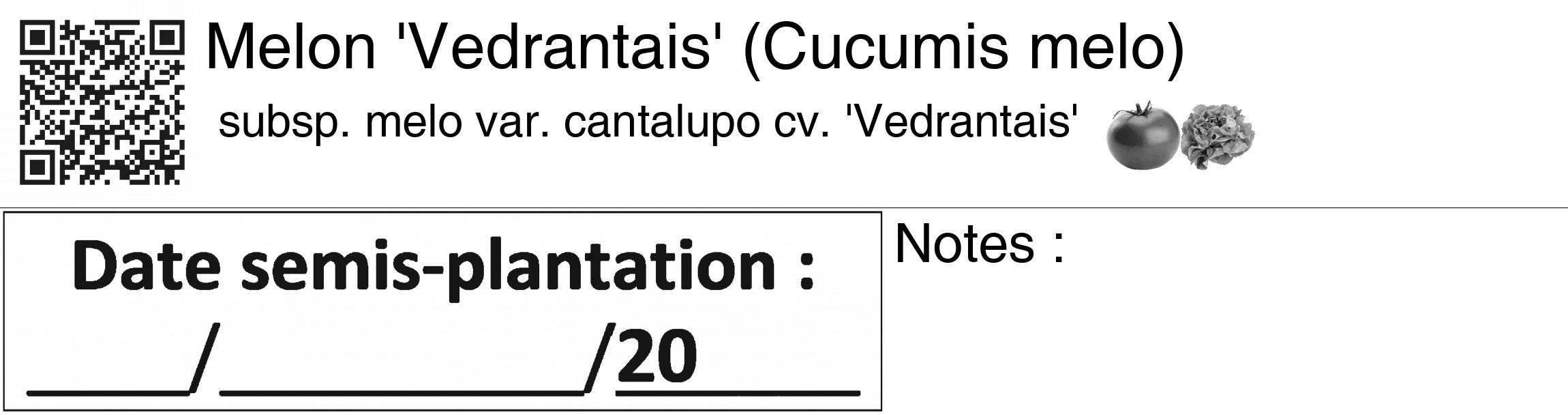 Étiquette de : Cucumis melo subsp. melo var. cantalupo cv. 'Vedrantais' - format c - style noire60_basiquegrrvhel avec qrcode et comestibilité simplifiée