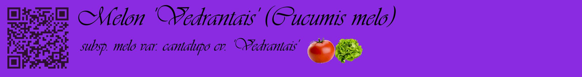 Étiquette de : Cucumis melo subsp. melo var. cantalupo cv. 'Vedrantais' - format c - style noire49basique_basique_basiqueviv avec qrcode et comestibilité simplifiée