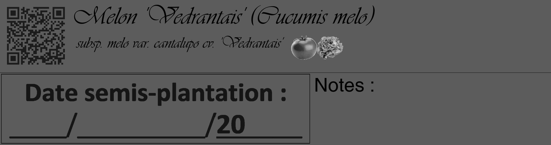 Étiquette de : Cucumis melo subsp. melo var. cantalupo cv. 'Vedrantais' - format c - style noire49basique_basique_basiqueviv avec qrcode et comestibilité simplifiée