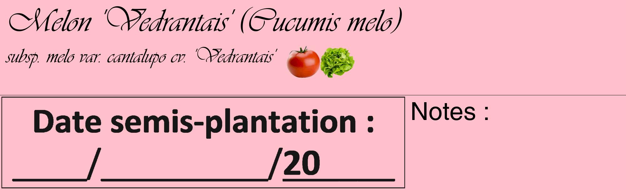 Étiquette de : Cucumis melo subsp. melo var. cantalupo cv. 'Vedrantais' - format c - style noire40_basique_basiqueviv avec comestibilité simplifiée