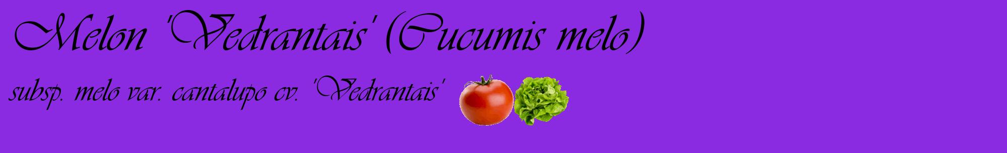 Étiquette de : Cucumis melo subsp. melo var. cantalupo cv. 'Vedrantais' - format c - style noire49basique_basique_basiqueviv avec comestibilité simplifiée
