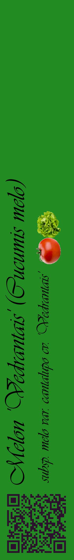 Étiquette de : Cucumis melo subsp. melo var. cantalupo cv. 'Vedrantais' - format c - style noire10_basiqueviv avec qrcode et comestibilité simplifiée