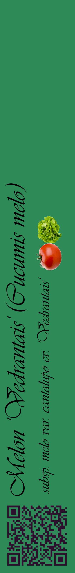 Étiquette de : Cucumis melo subsp. melo var. cantalupo cv. 'Vedrantais' - format c - style noire11_basiqueviv avec qrcode et comestibilité simplifiée