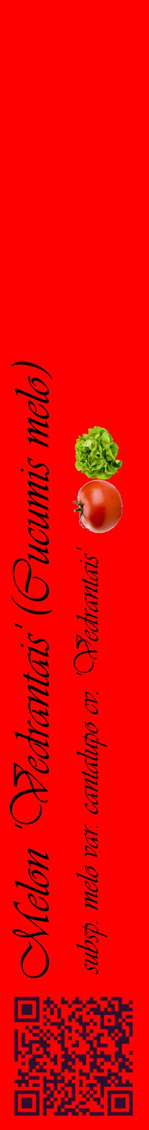 Étiquette de : Cucumis melo subsp. melo var. cantalupo cv. 'Vedrantais' - format c - style noire27_basiqueviv avec qrcode et comestibilité simplifiée