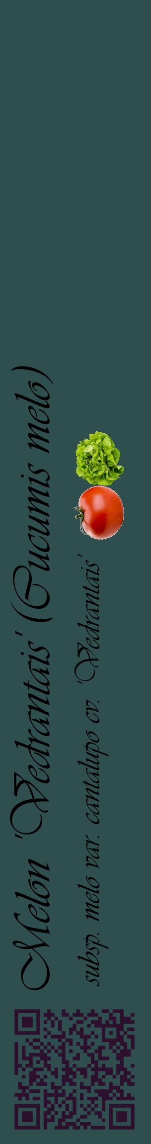 Étiquette de : Cucumis melo subsp. melo var. cantalupo cv. 'Vedrantais' - format c - style noire58_basiqueviv avec qrcode et comestibilité simplifiée