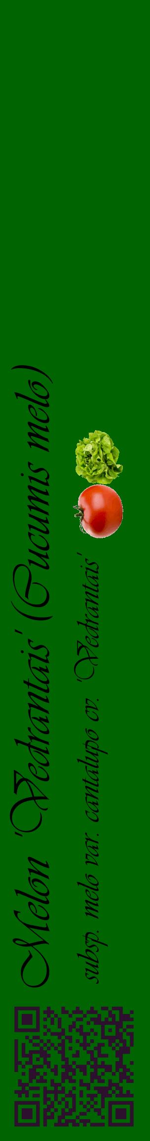 Étiquette de : Cucumis melo subsp. melo var. cantalupo cv. 'Vedrantais' - format c - style noire8_basiqueviv avec qrcode et comestibilité simplifiée