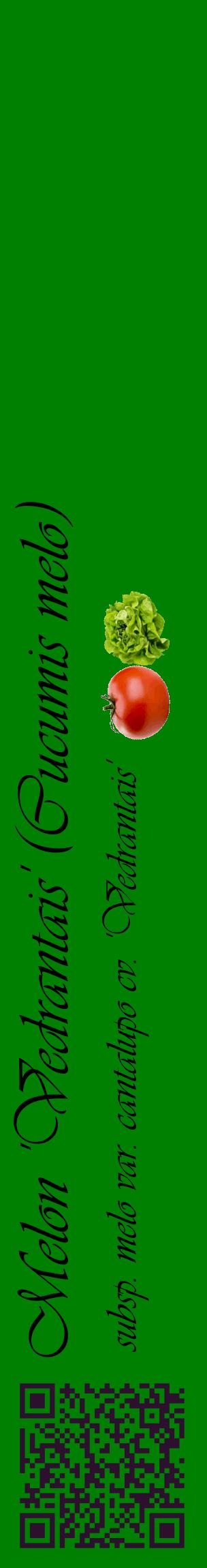 Étiquette de : Cucumis melo subsp. melo var. cantalupo cv. 'Vedrantais' - format c - style noire9_basiqueviv avec qrcode et comestibilité simplifiée
