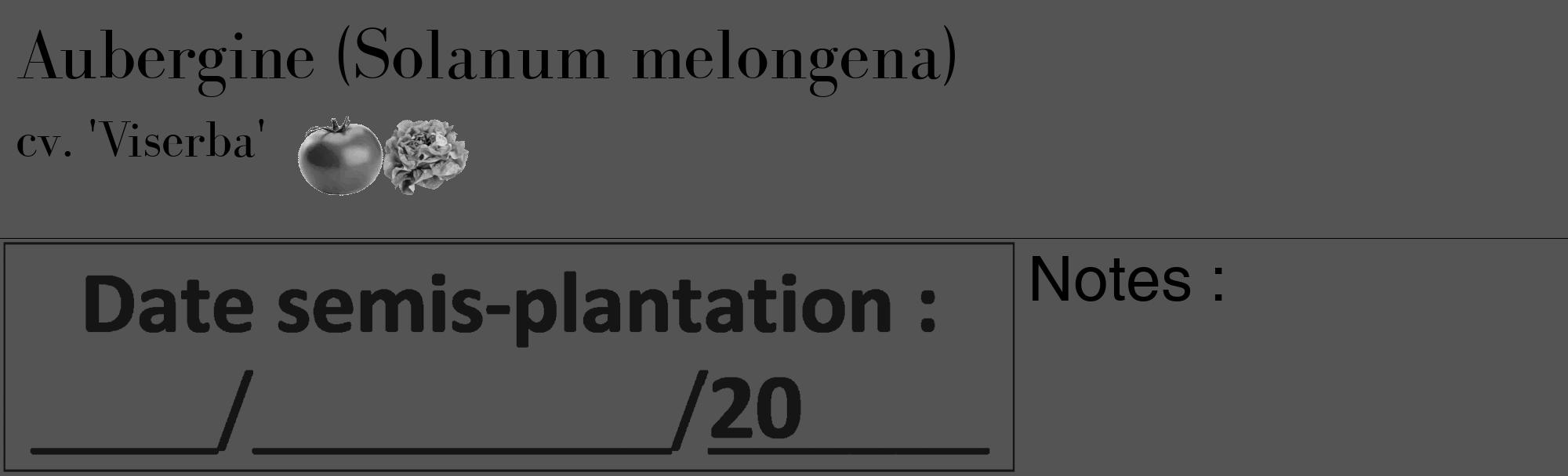 Étiquette de : Solanum melongena cv. 'Viserba' - format c - style noire30basique_basique_basiquebod avec comestibilité simplifiée