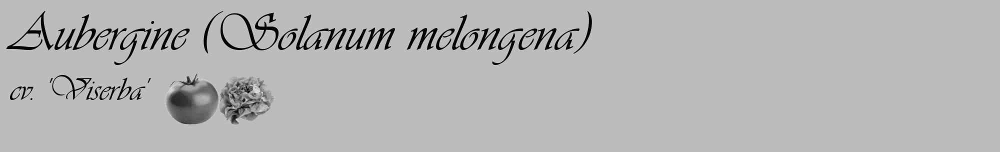Étiquette de : Solanum melongena cv. 'Viserba' - format c - style noire1_basique_basiqueviv avec comestibilité simplifiée