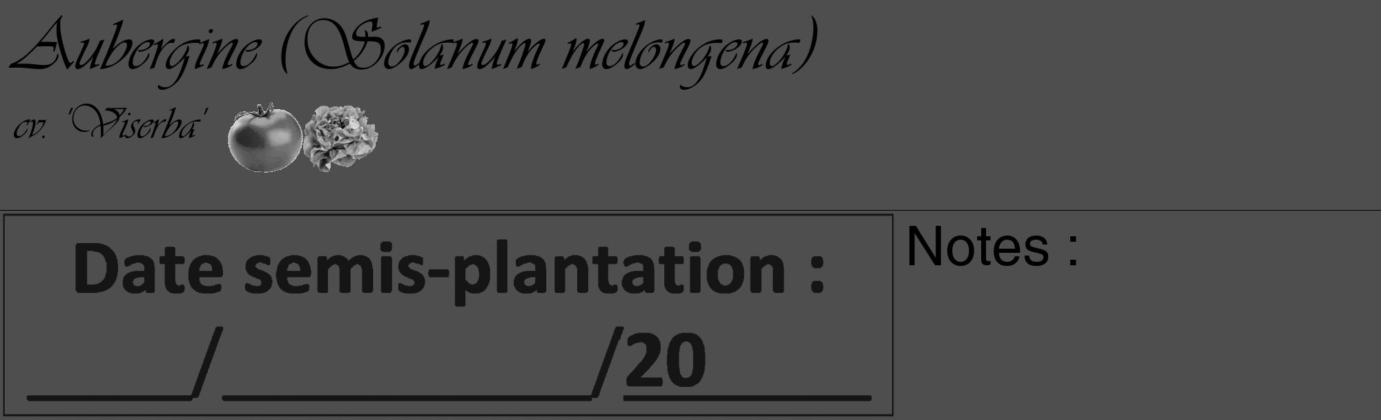 Étiquette de : Solanum melongena cv. 'Viserba' - format c - style noire33_basique_basiqueviv avec comestibilité simplifiée