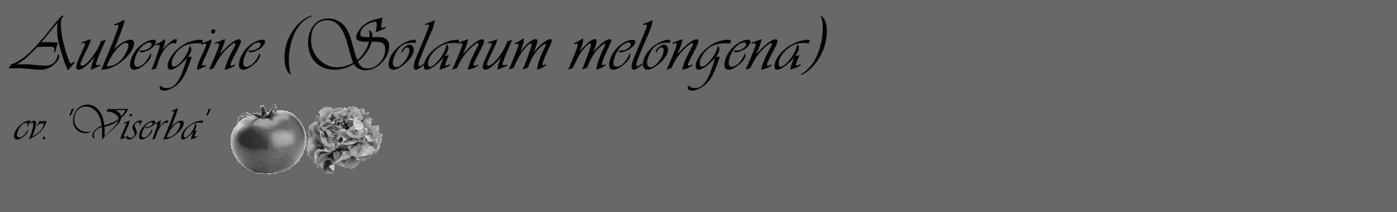 Étiquette de : Solanum melongena cv. 'Viserba' - format c - style noire43_basique_basiqueviv avec comestibilité simplifiée