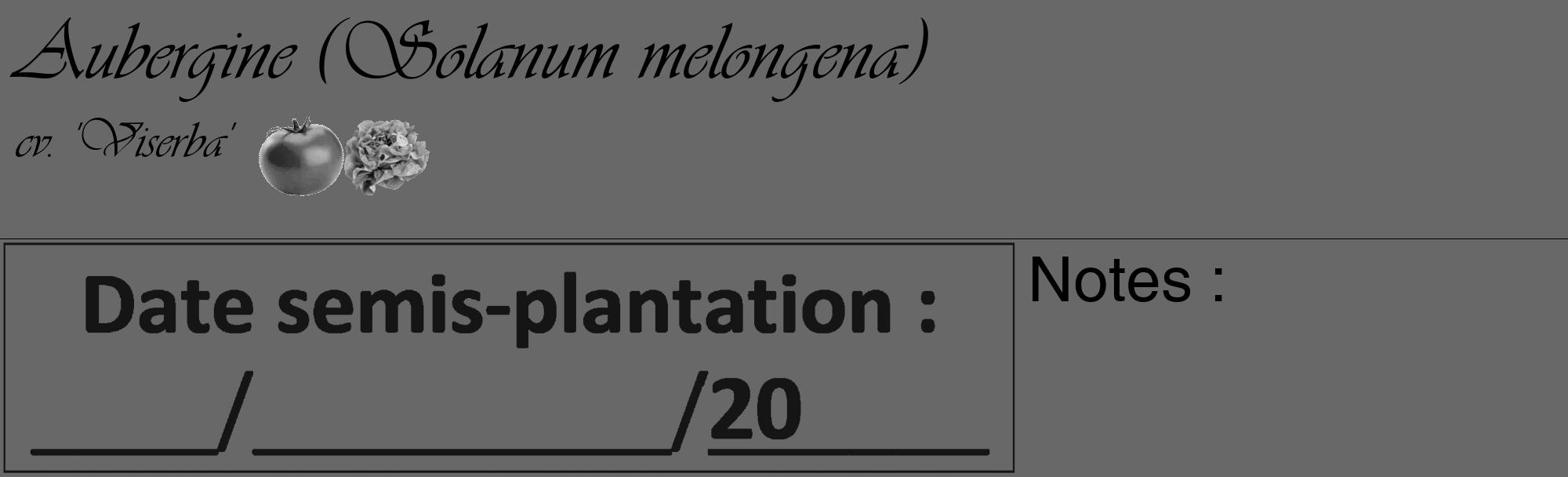 Étiquette de : Solanum melongena cv. 'Viserba' - format c - style noire43_basique_basiqueviv avec comestibilité simplifiée